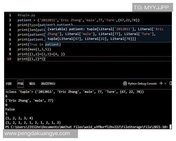 在VisualStudio中如何定义和使用布尔型数据类型的详细指南