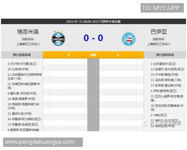 巴西与日本精彩对决视频下载全攻略及观看指南