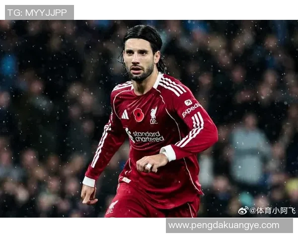 索博斯洛伊的魅力探秘与历史文化价值的深度剖析