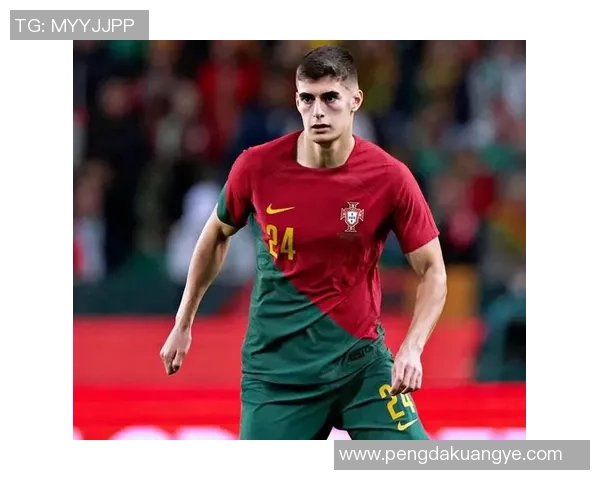 鲁本迪亚斯：从新星崛起到世界级后卫的辉煌之路