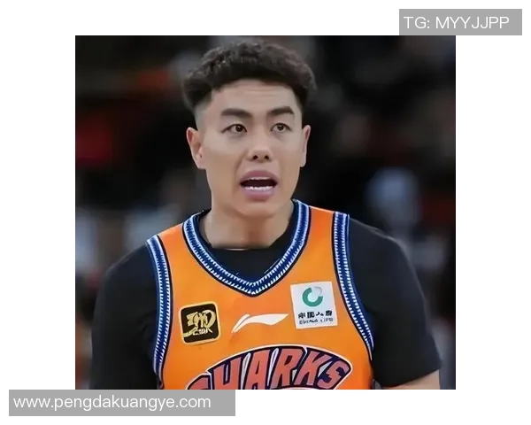 李添荣的奋斗历程与成功秘诀揭秘：从平凡到卓越的成长之路