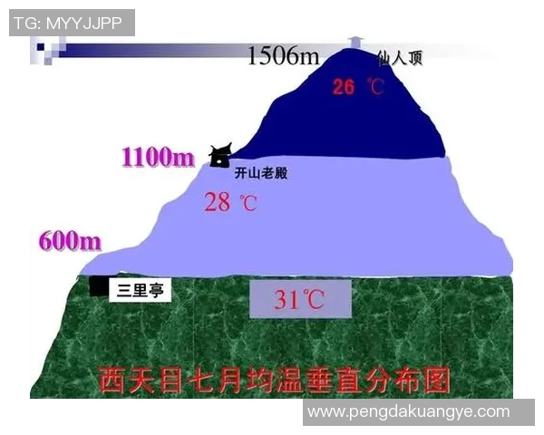 上海羽毛球队区域防守分析及其对比赛表现的影响探讨